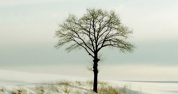 Winter Winter
